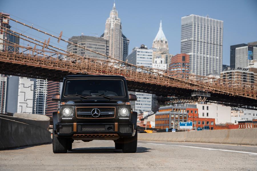  Mercedes-AMG G65 Final Edition (W463) 2018 года  (NA) (фото 37 из 40)